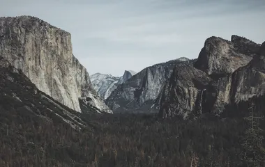 A mountainous terrain surrounding a forest