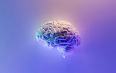 A 3d modelled human brain in the centre of a blue gradient background