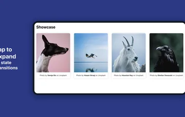 A series of four images from left to right, dog, sea bird flying, white goat and raven