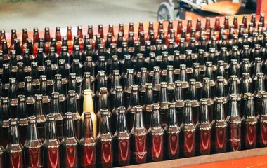 One gold bottle in a crate of brown bottles